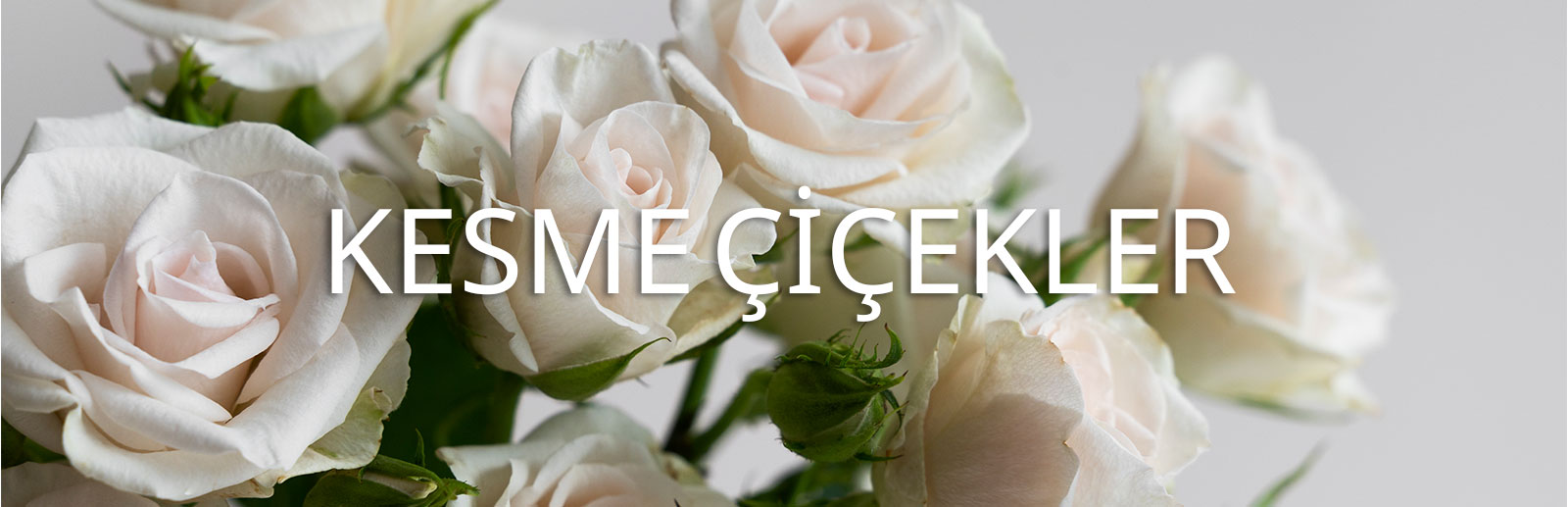 Kesme Çiçekler